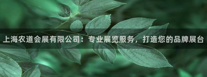 果博真人：上海农道会展有限公司：专业展览